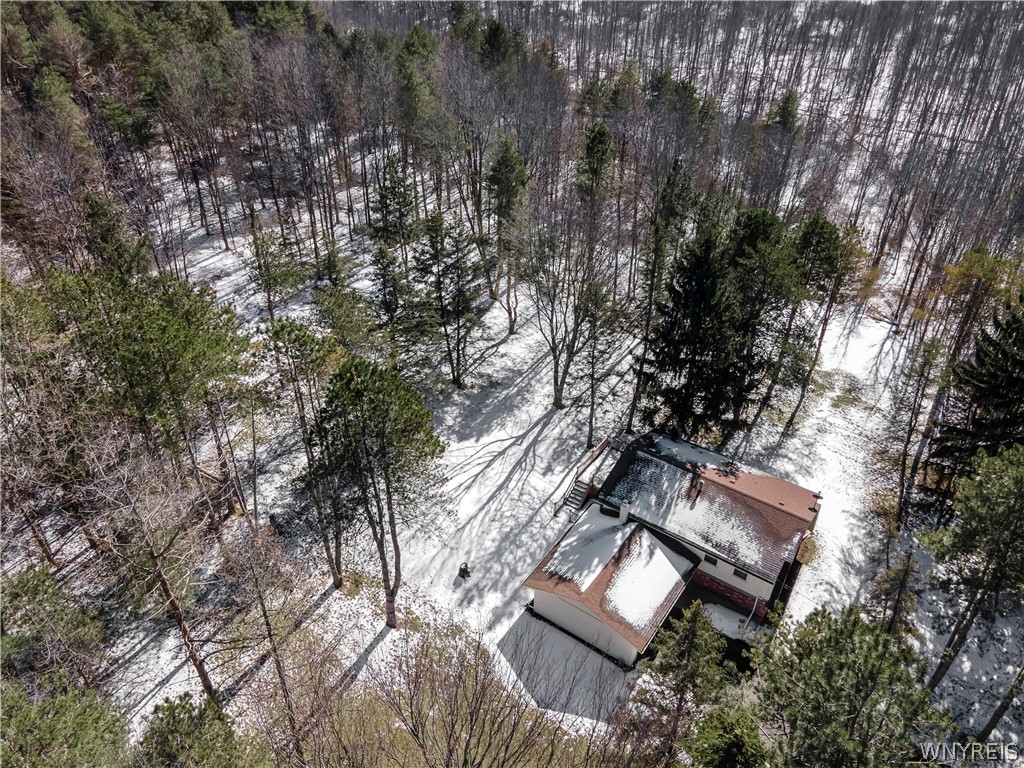 9495 Francis Road Bethany, NY 14020 - Photo 13 of 48