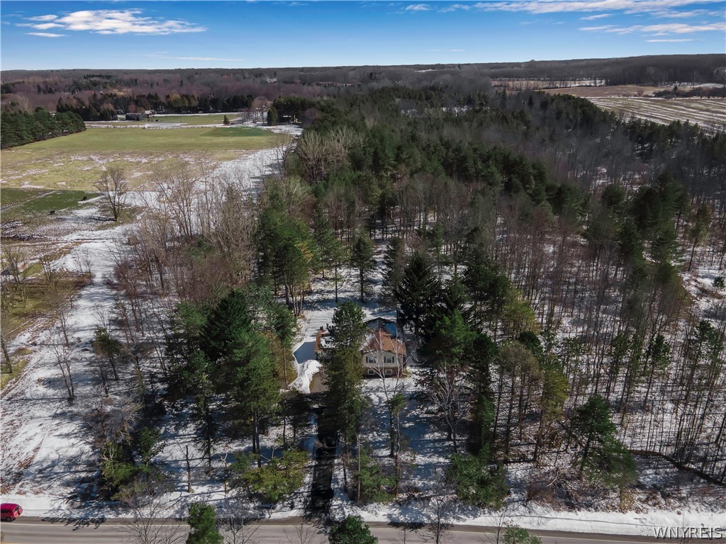 9495 Francis Road Bethany, NY 14020 - Photo 38 of 48