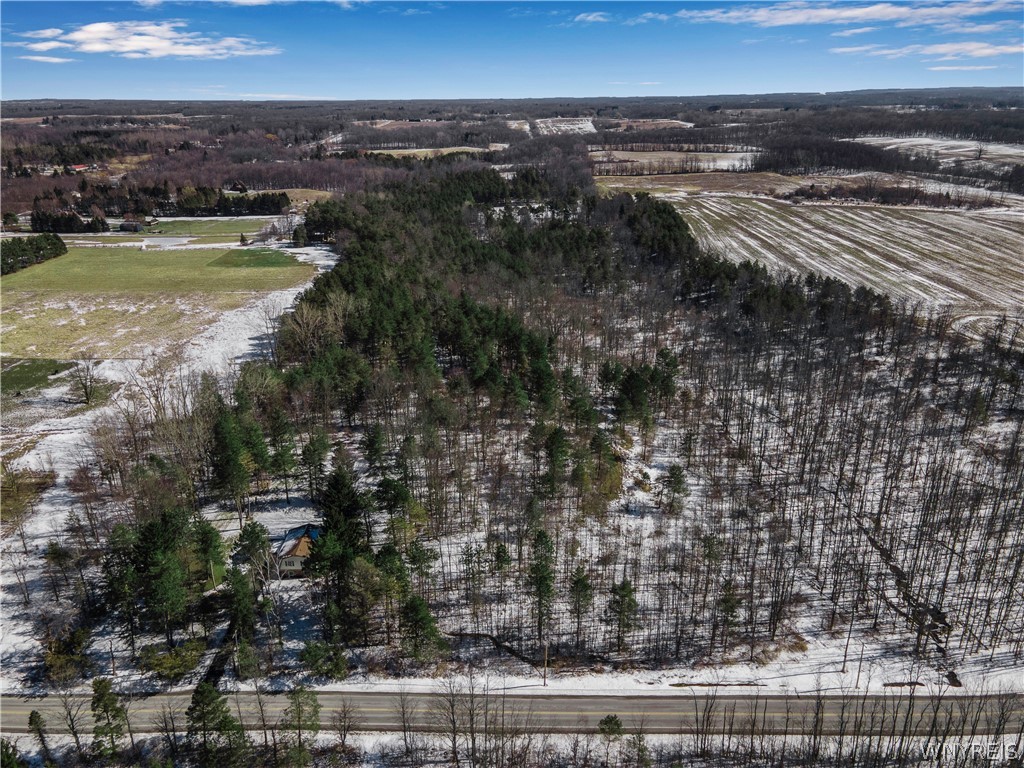 9495 Francis Road Bethany, NY 14020 - Photo 39 of 48