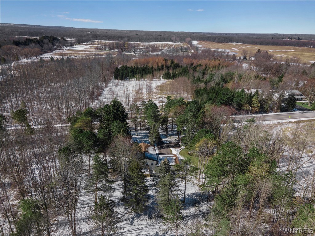 9495 Francis Road Bethany, NY 14020 - Photo 45 of 48