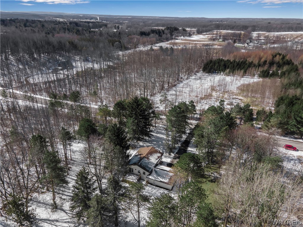 9495 Francis Road Bethany, NY 14020 - Photo 46 of 48