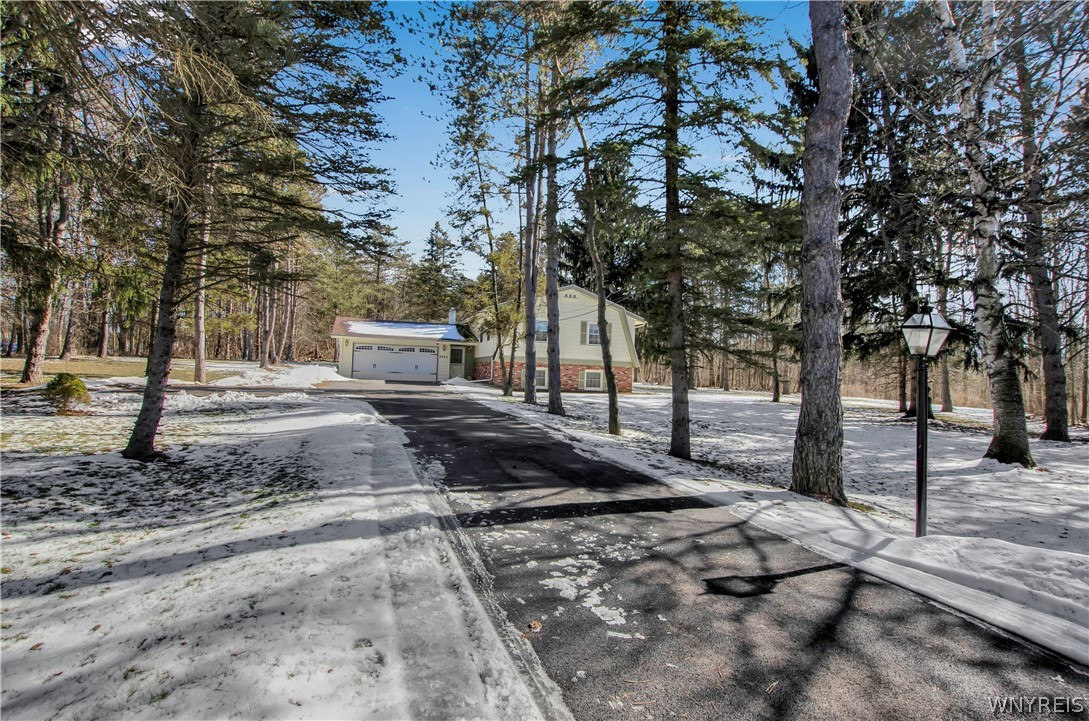 9495 Francis Road Bethany, NY 14020 - Photo 10 of 48