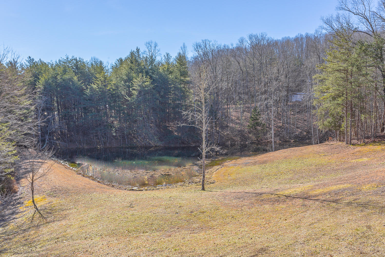 1655 McCarver Loop Road Dunlap, TN 37327 - Photo 3 of 95 1655 McCarver Loop HD -66