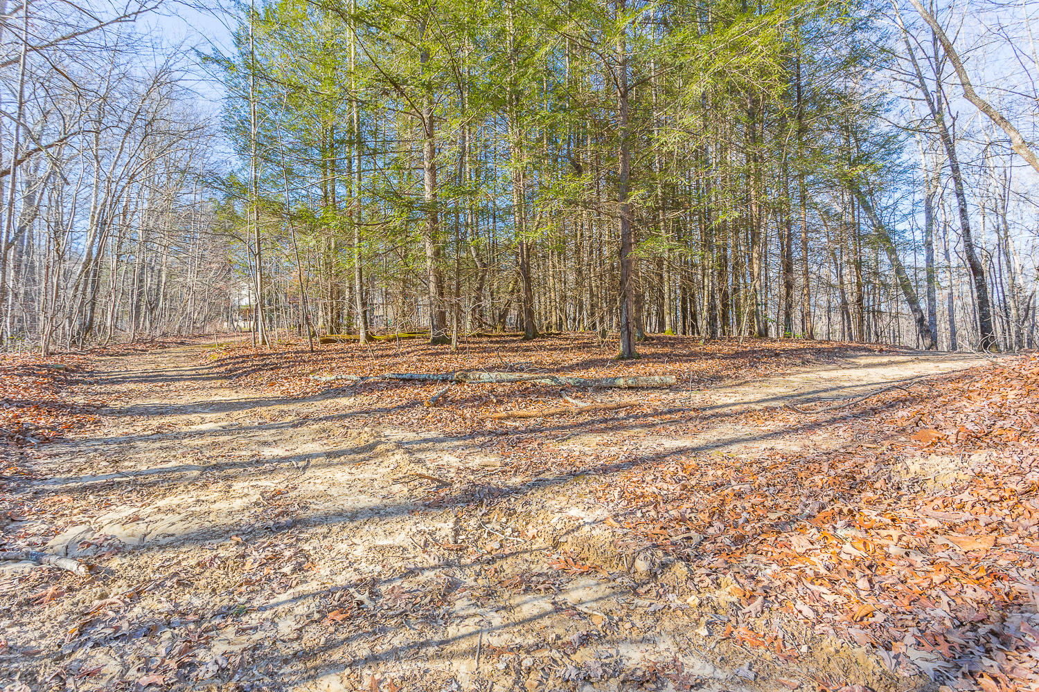 1655 McCarver Loop Road Dunlap, TN 37327 - Photo 40 of 95 1655 McCarver Loop HD -18