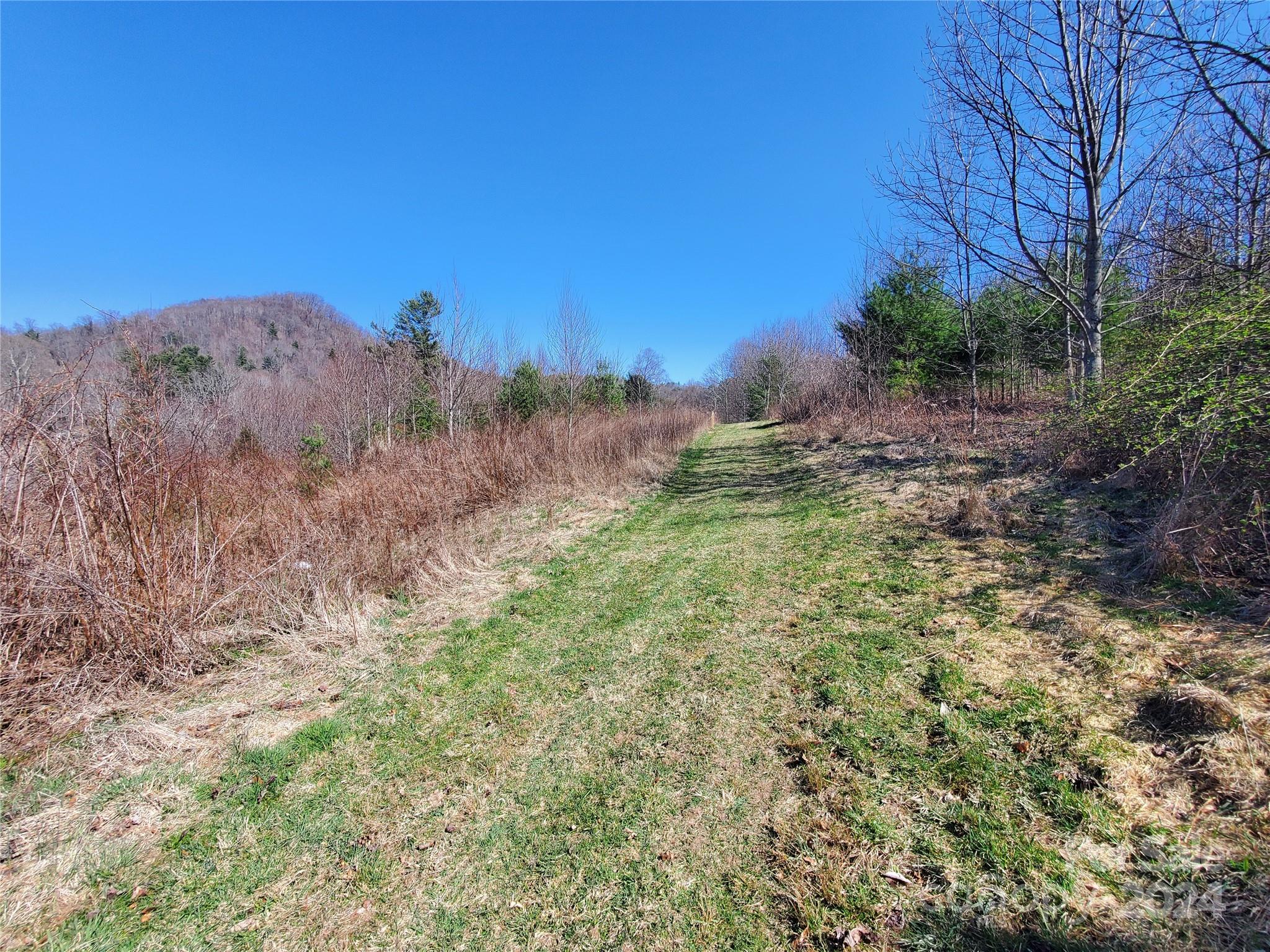 57 Paul Ridge Road Newland, NC 28657 - Photo 20 of 48 Gallery Image 20