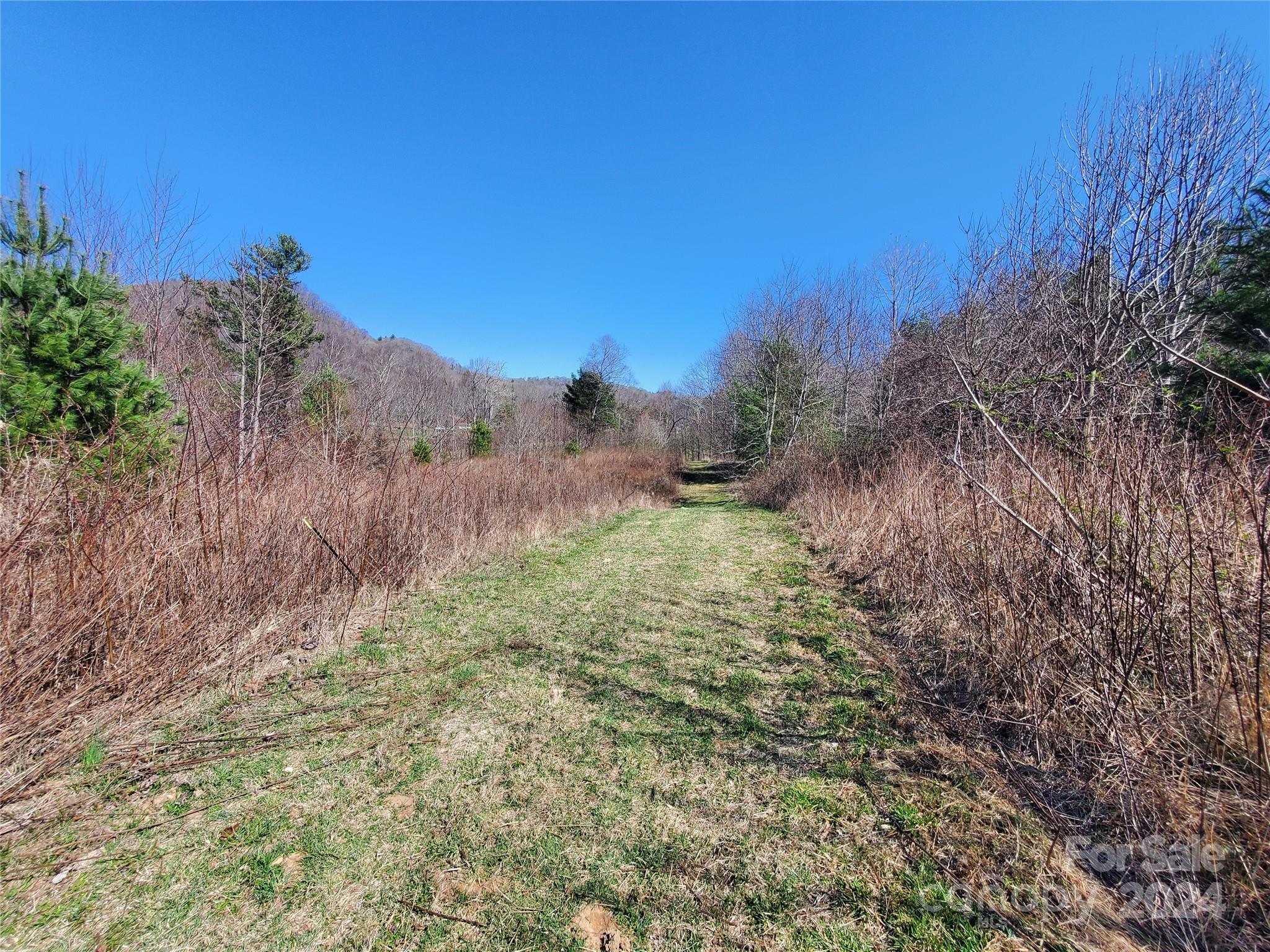57 Paul Ridge Road Newland, NC 28657 - Photo 21 of 48 Gallery Image 21