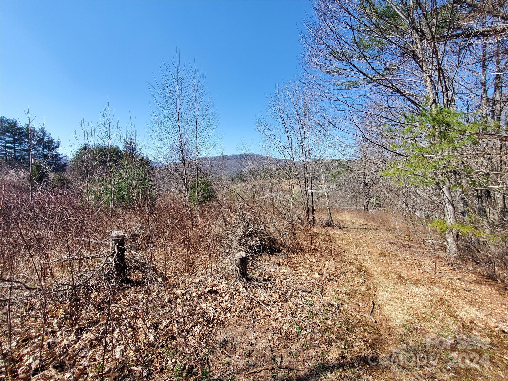 57 Paul Ridge Road Newland, NC 28657 - Photo 22 of 48 Gallery Image 22