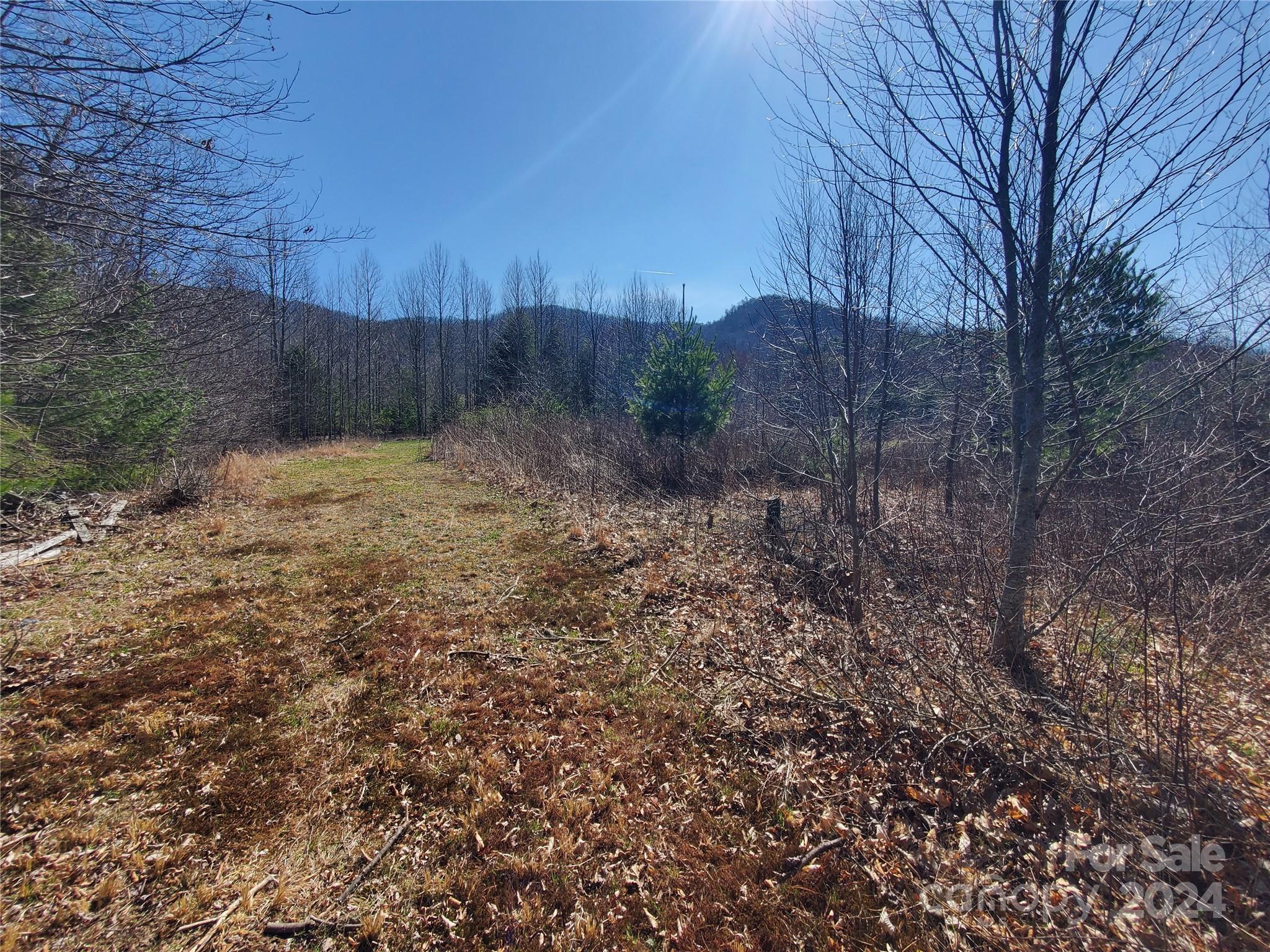 57 Paul Ridge Road Newland, NC 28657 - Photo 23 of 48 Gallery Image 23