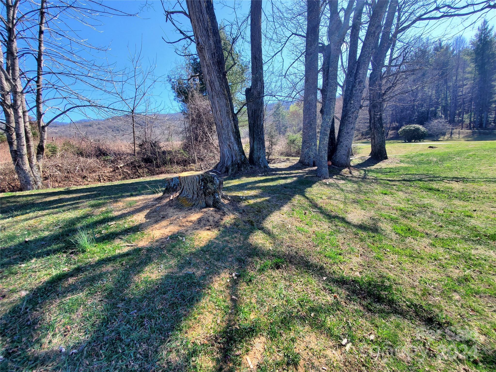 57 Paul Ridge Road Newland, NC 28657 - Photo 5 of 48 Gallery Image 5