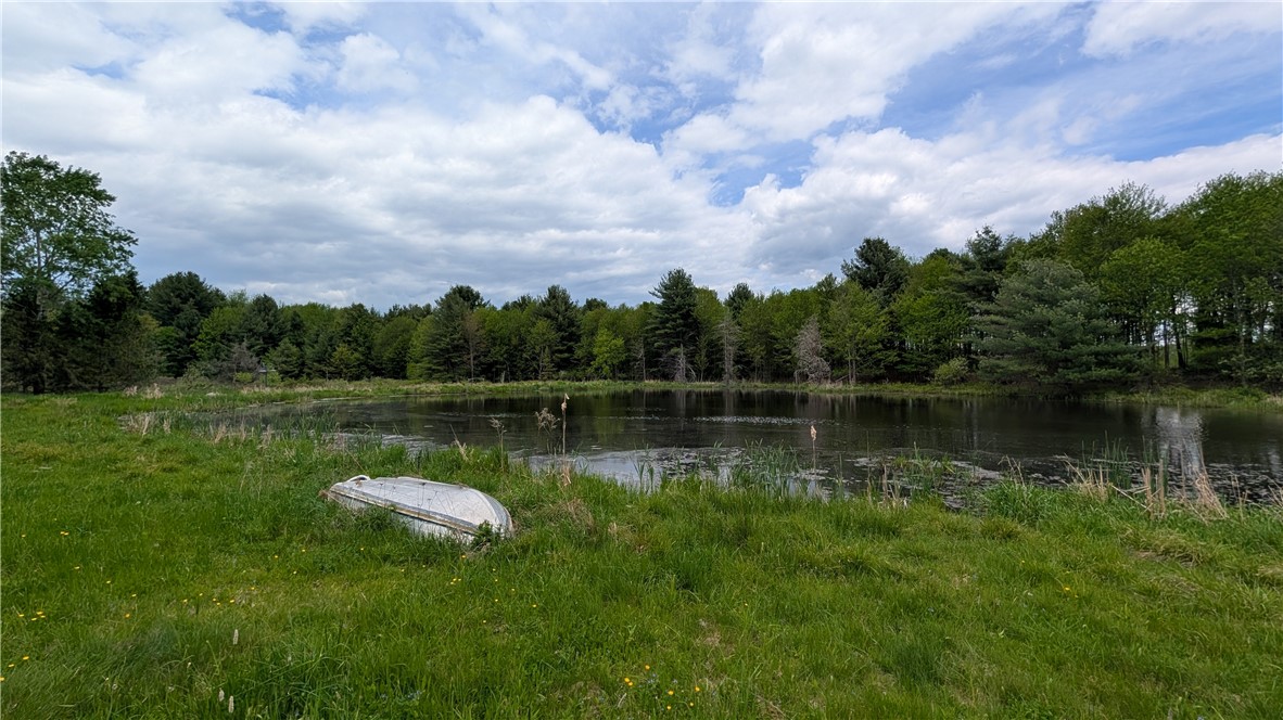 5820 Steam Mill Road Masonville, NY 13849 - Photo 35 of 47