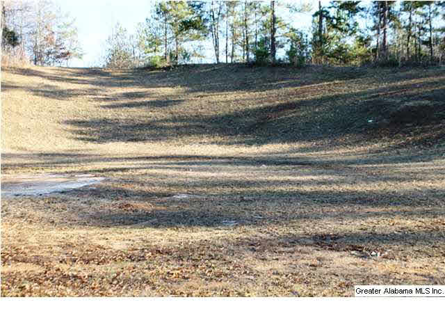 156 Ember Lane Ohatchee, AL 36271 - Photo 32 of 32 Gallery Image 32