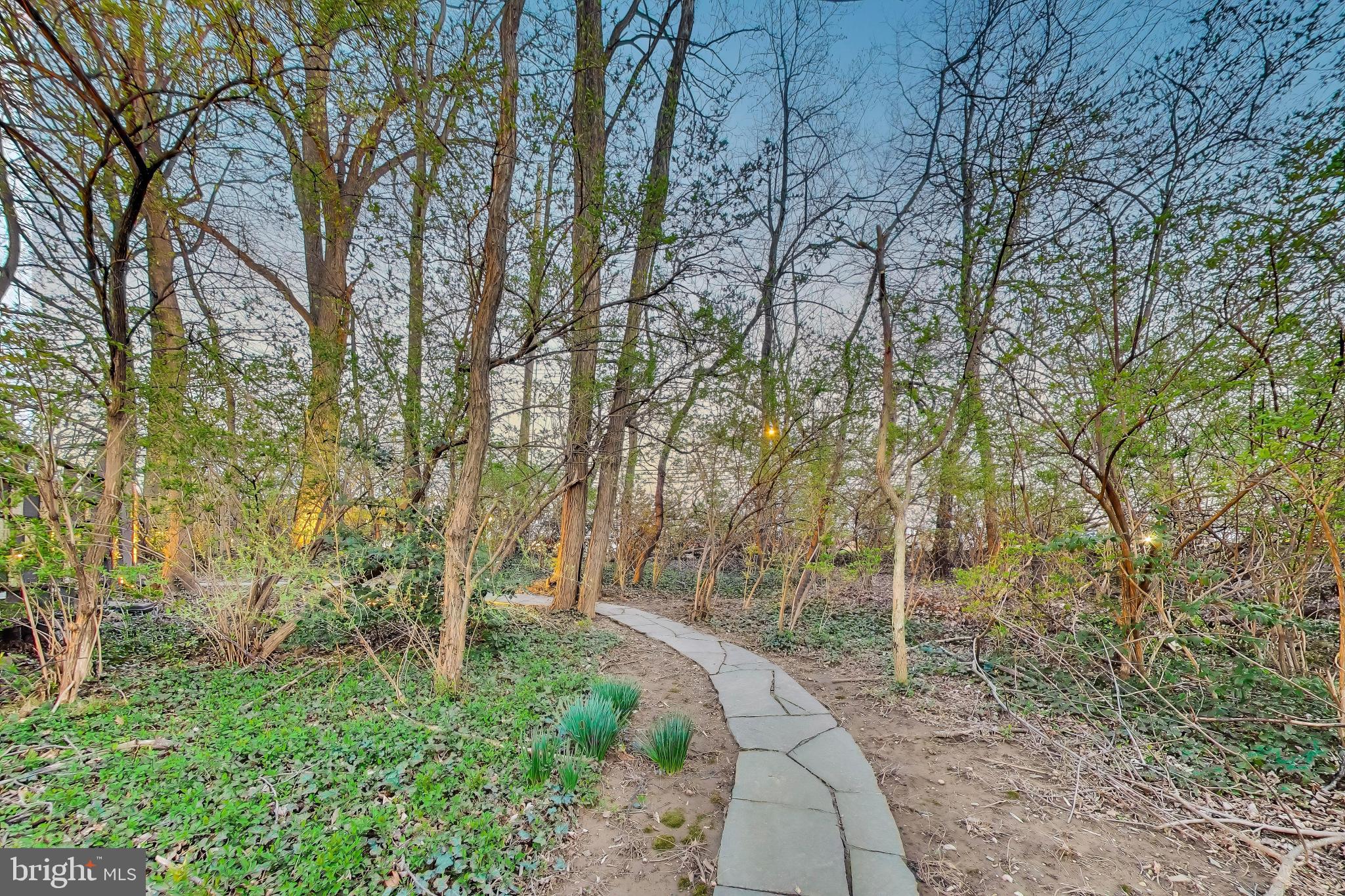 9200 Linden Grove Court Silver Spring, MD 20910 - Photo 64 of 72 a pathway of a yard