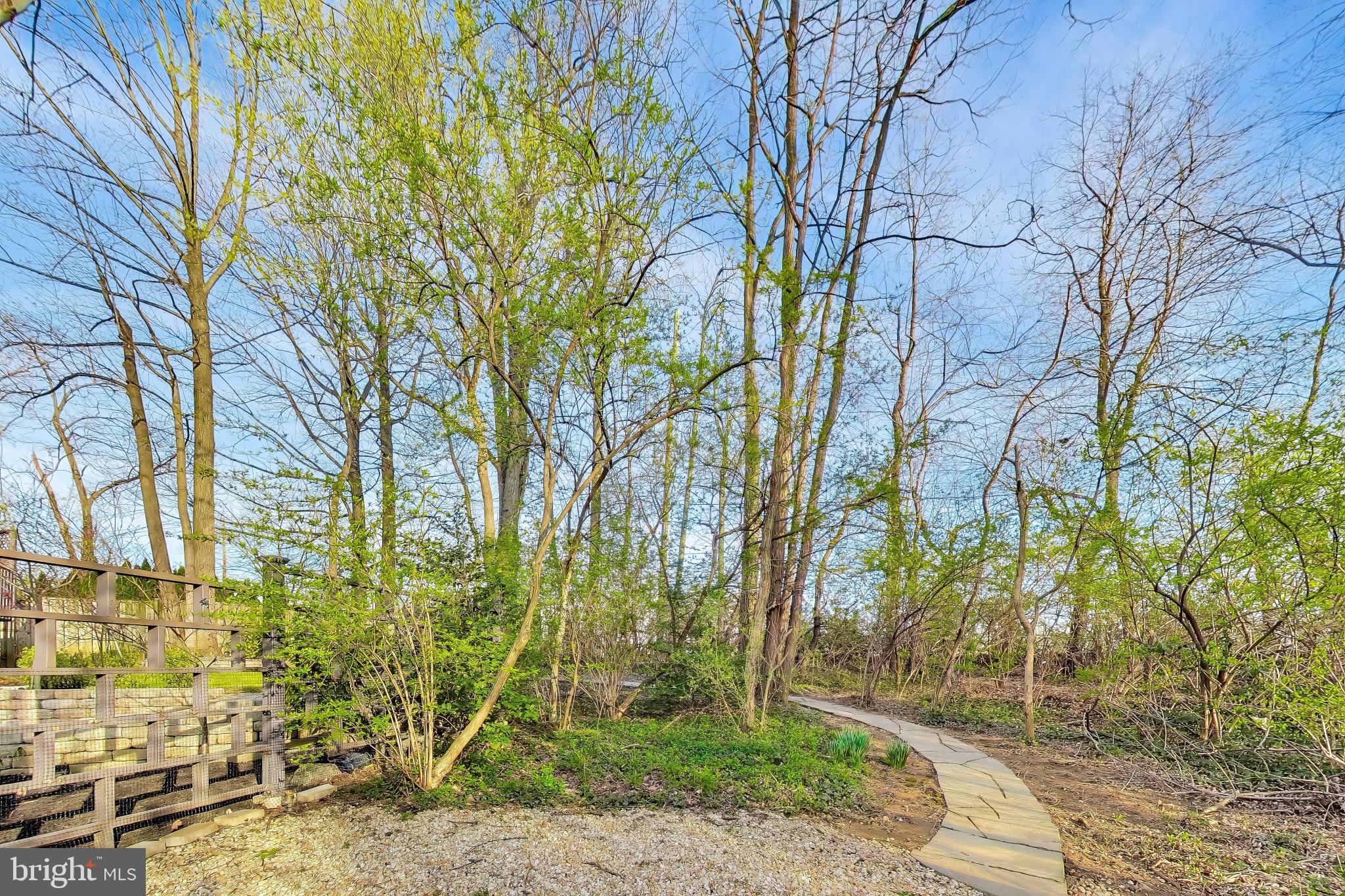 9200 Linden Grove Court Silver Spring, MD 20910 - Photo 68 of 72 a backyard of a house with lots of green space