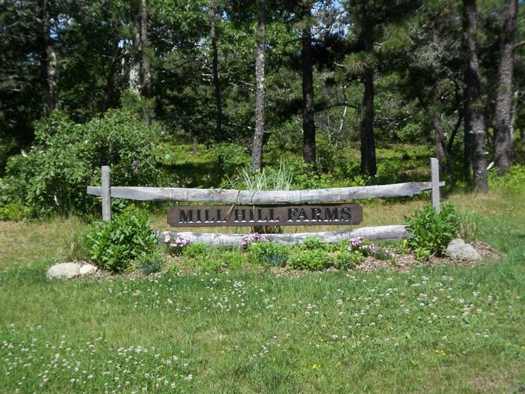 11 Mill Hill Farms Road Edgartown, MA 02539 - Photo 1 of 2 a view of a garden with a bench in it