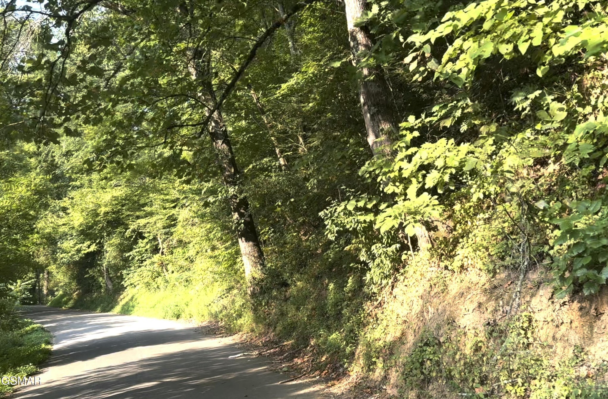 2 Caney Creek Road Pigeon Forge, TN 37863 - Photo 3 of 7