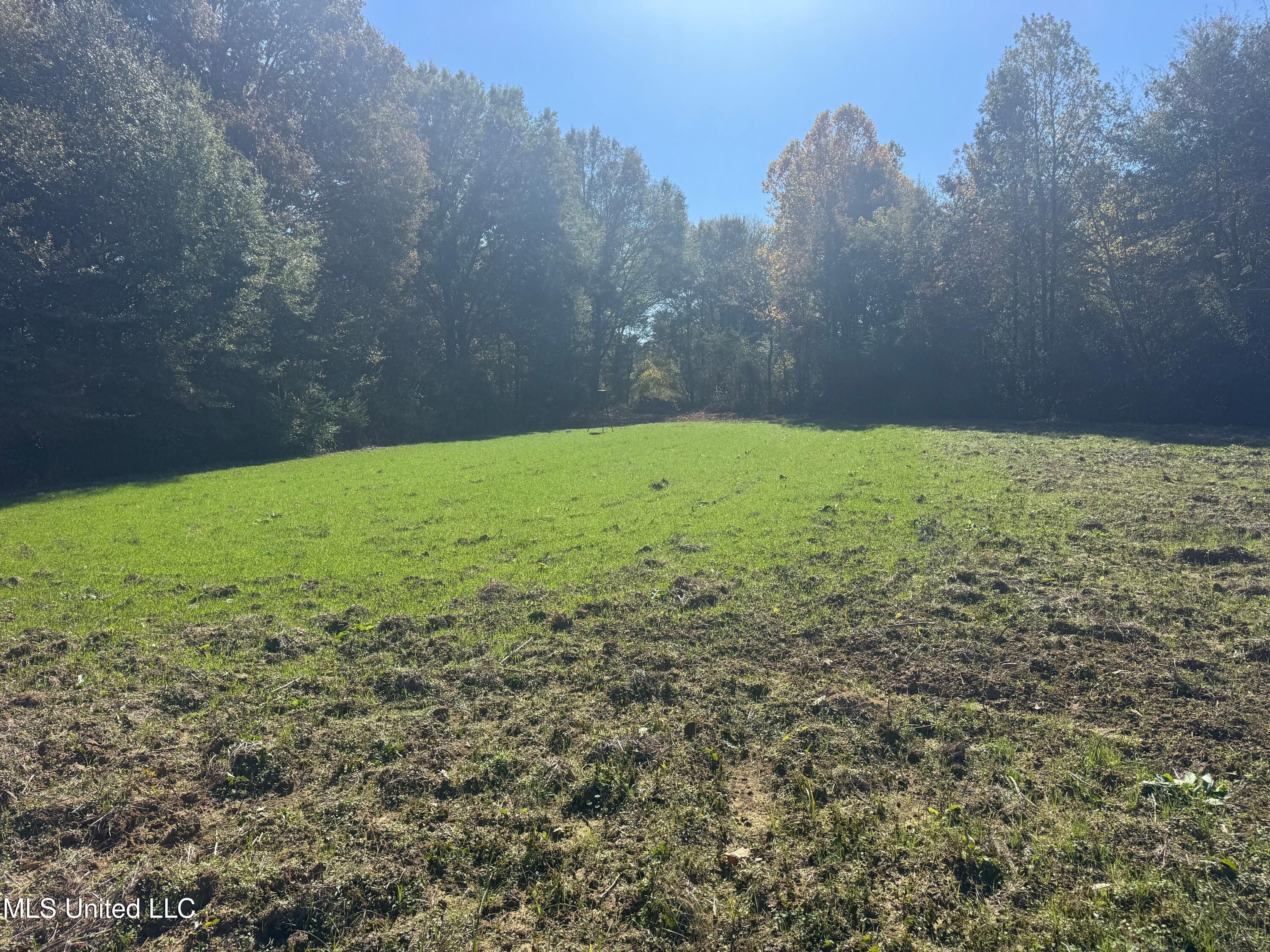 0 Industrial Park Road Winona, MS 38967 - Photo 12 of 37 IMG_6719