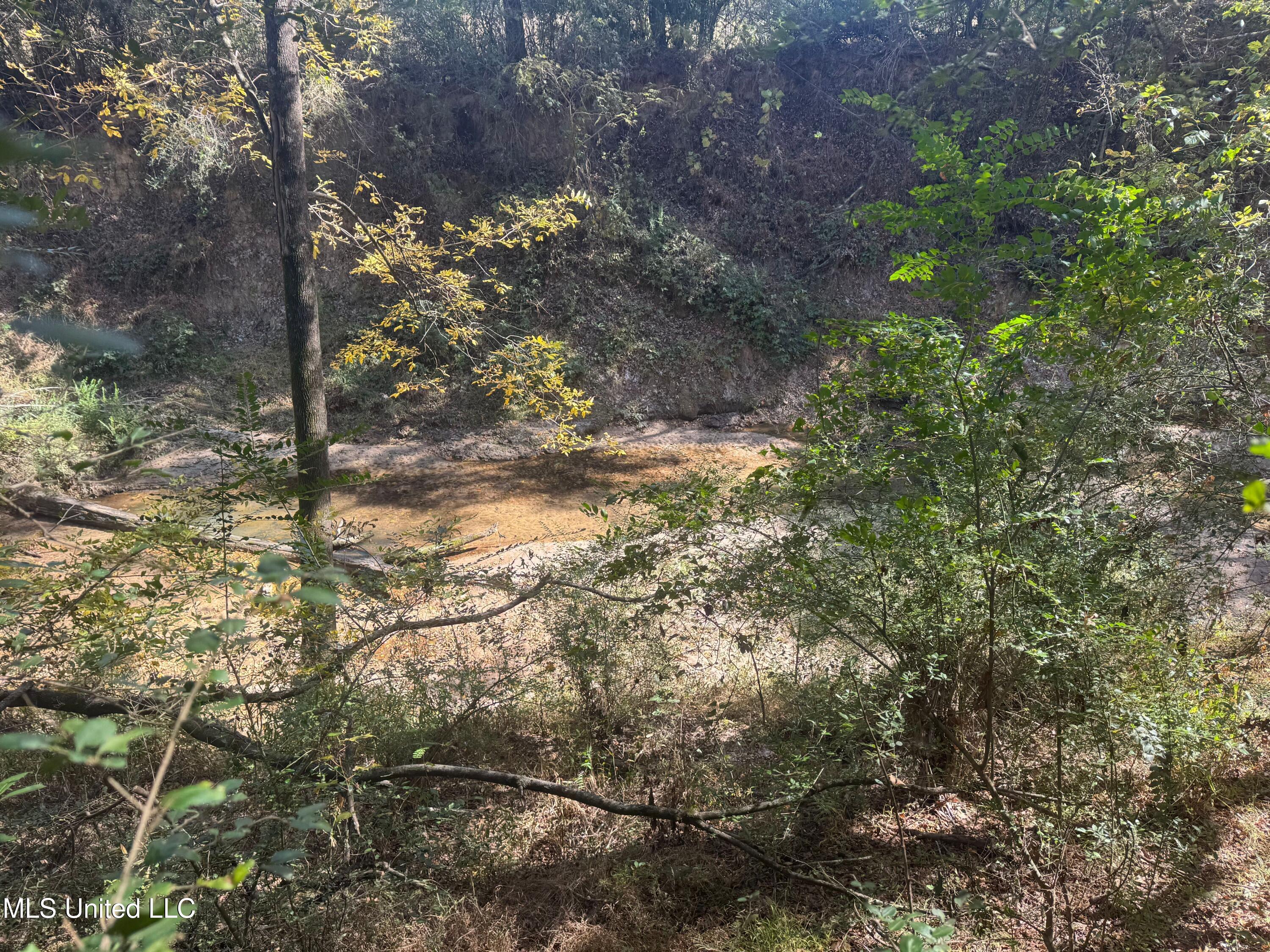 0 Industrial Park Road Winona, MS 38967 - Photo 13 of 37 IMG_6721