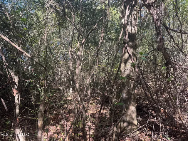 $395,000 | 0 Industrial Park Road, Winona, MS 38967