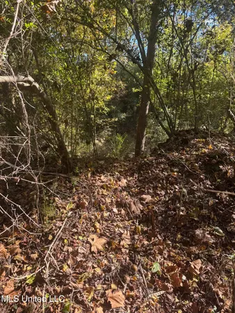 $395,000 | 0 Industrial Park Road, Winona, MS 38967