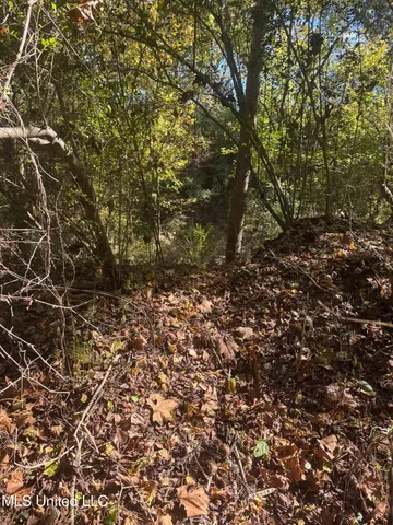 $395,000 | 0 Industrial Park Road, Winona, MS 38967