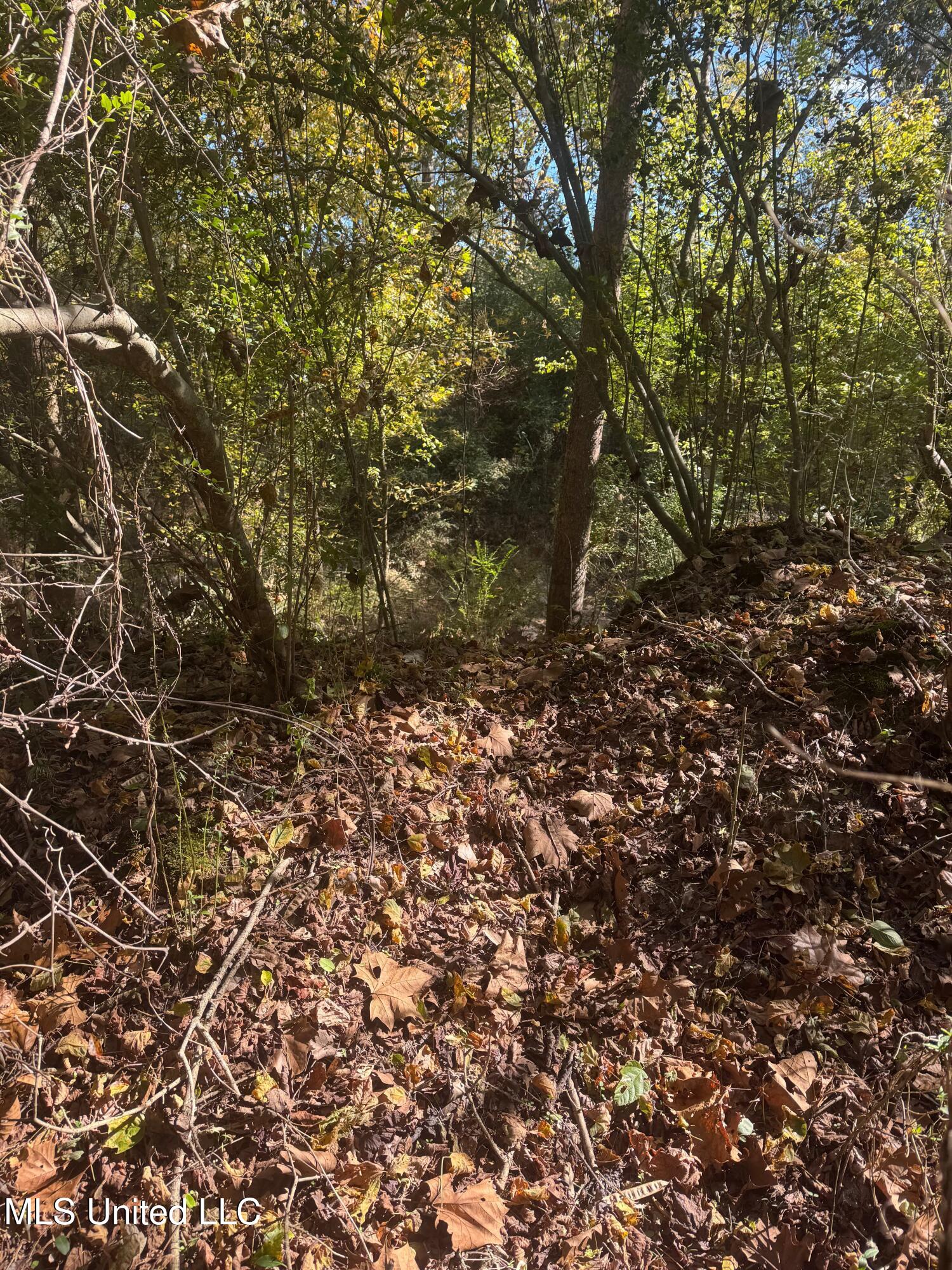 0 Industrial Park Road Winona, MS 38967 - Photo 15 of 37 IMG_6725