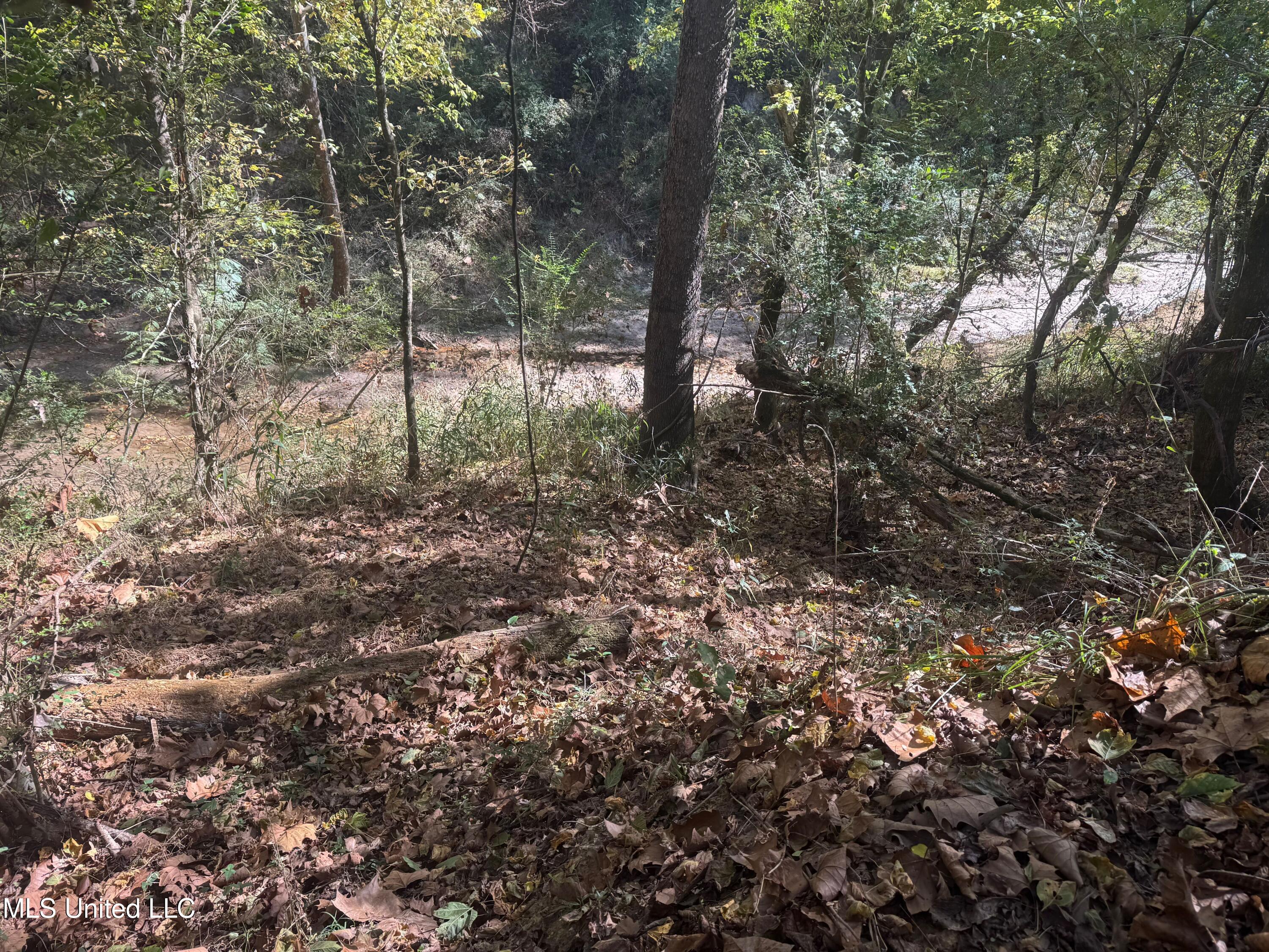 0 Industrial Park Road Winona, MS 38967 - Photo 16 of 37 IMG_6726