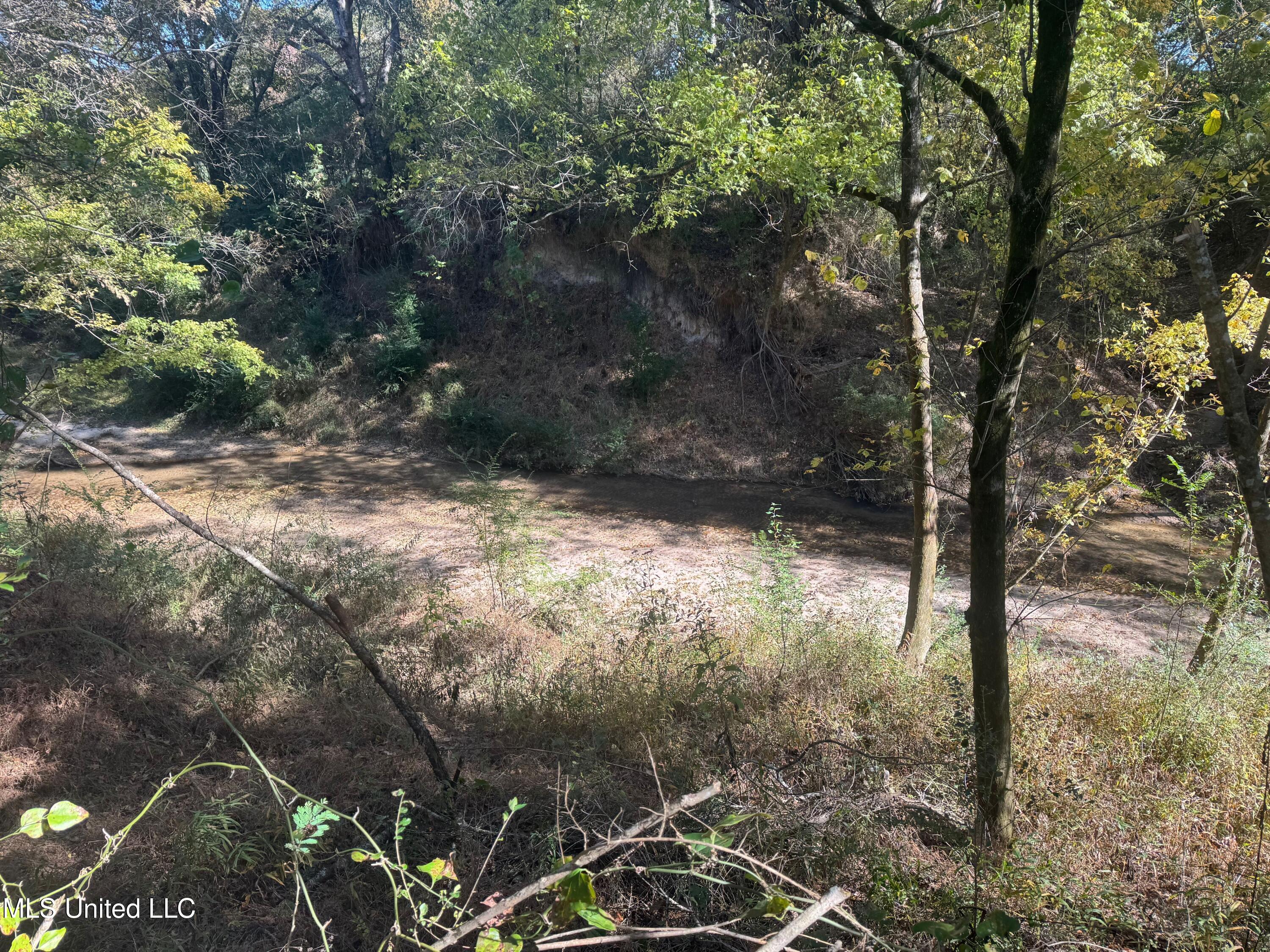 0 Industrial Park Road Winona, MS 38967 - Photo 19 of 37 IMG_6732