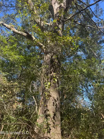 $395,000 | 0 Industrial Park Road, Winona, MS 38967