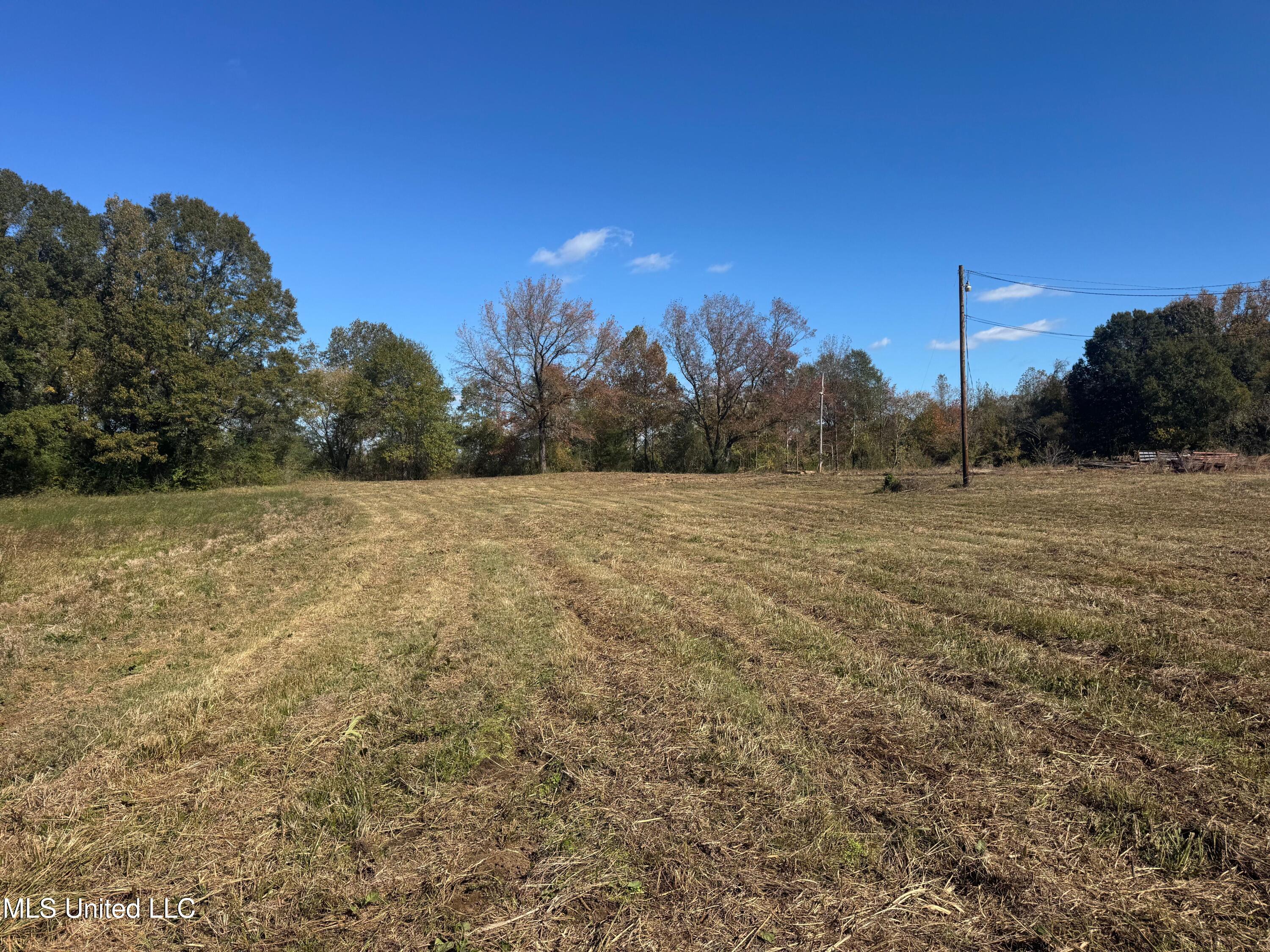 0 Industrial Park Road Winona, MS 38967 - Photo 26 of 37 IMG_6743