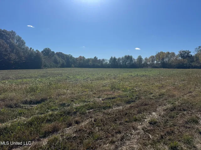 $395,000 | 0 Industrial Park Road, Winona, MS 38967