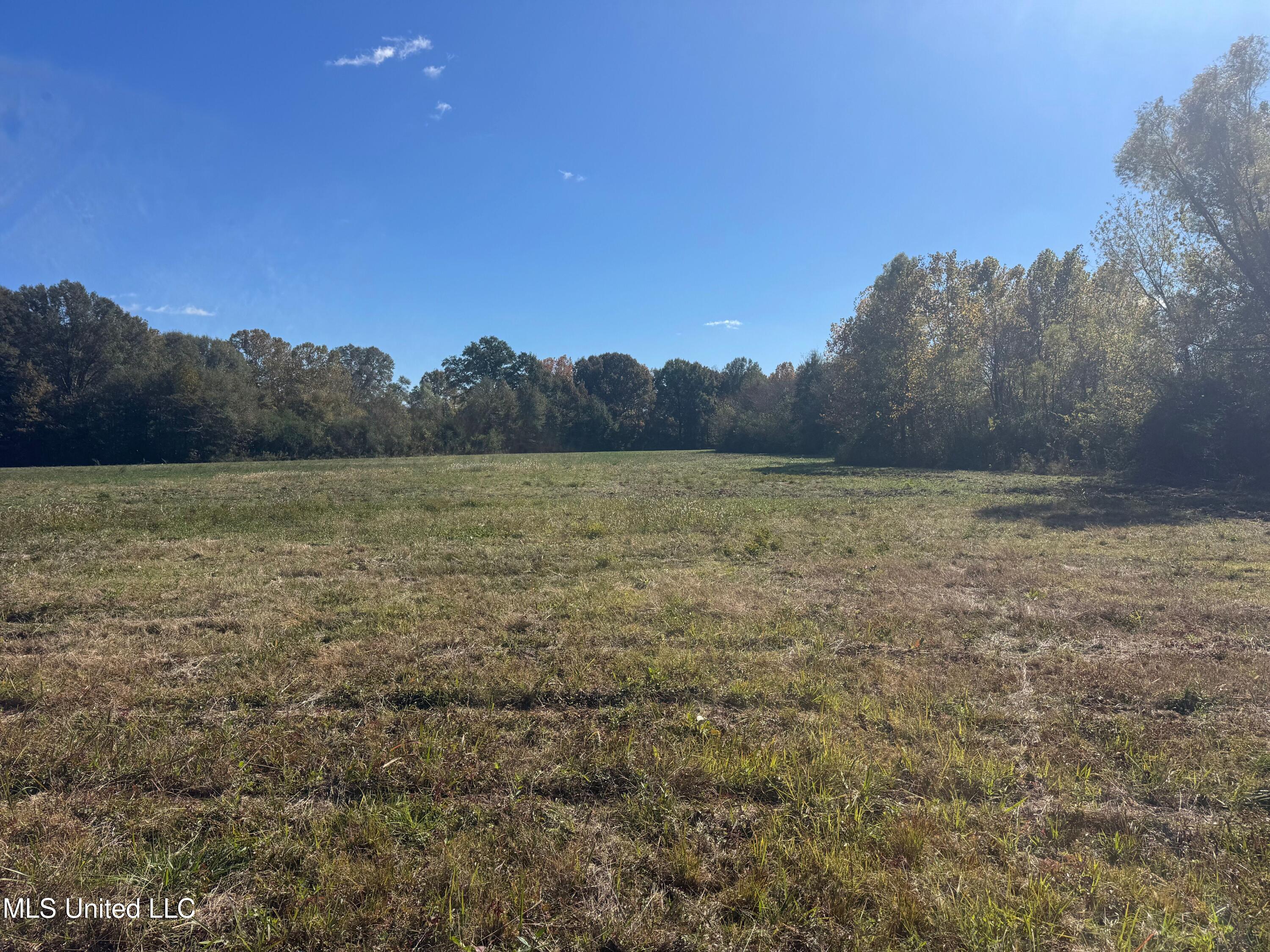 0 Industrial Park Road Winona, MS 38967 - Photo 9 of 37 IMG_6714