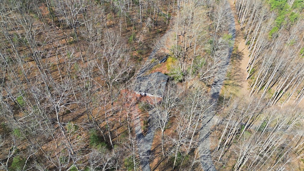 321 Hamilton Road Blairsville, GA 30512 - Photo 4 of 43