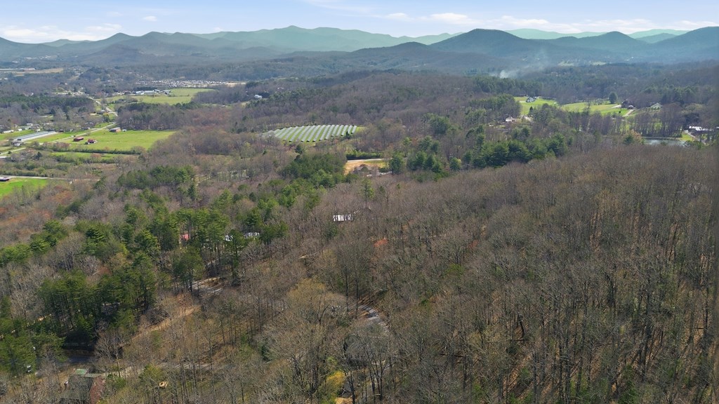 321 Hamilton Road Blairsville, GA 30512 - Photo 6 of 43