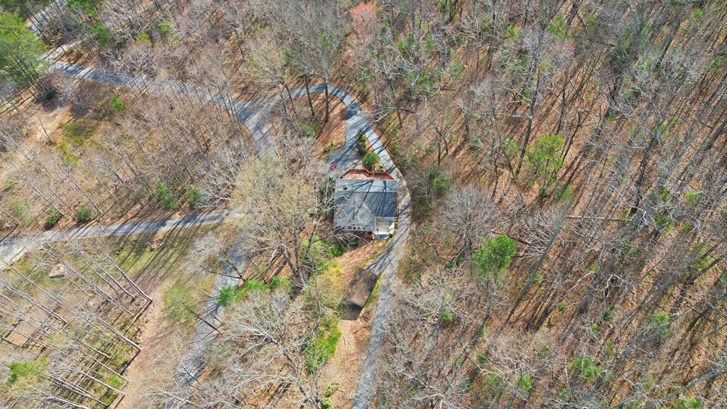 321 Hamilton Road Blairsville, GA 30512 - Photo 7 of 43