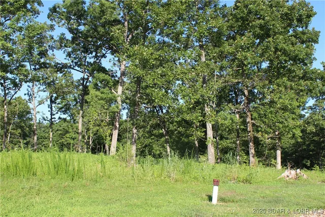 $69,900 | Osage Avenue, Gravois Mills, MO 65037