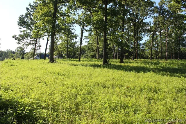 $62,900 | Osage Avenue, Gravois Mills, MO 65037