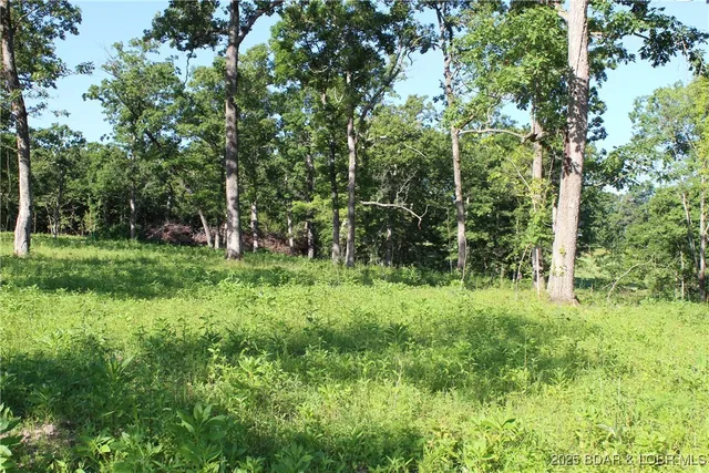 $69,900 | Osage Avenue, Gravois Mills, MO 65037