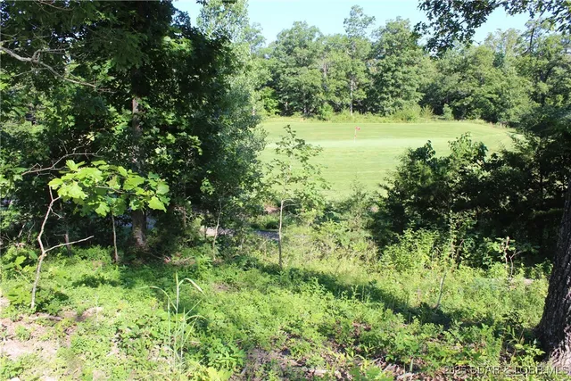 $69,900 | Osage Avenue, Gravois Mills, MO 65037