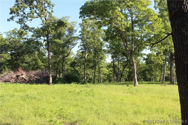 $69,900 | Osage Avenue, Gravois Mills, MO 65037