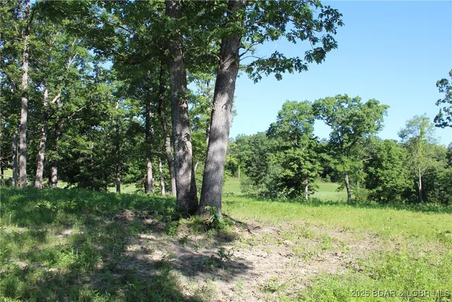 $69,900 | Osage Avenue, Gravois Mills, MO 65037