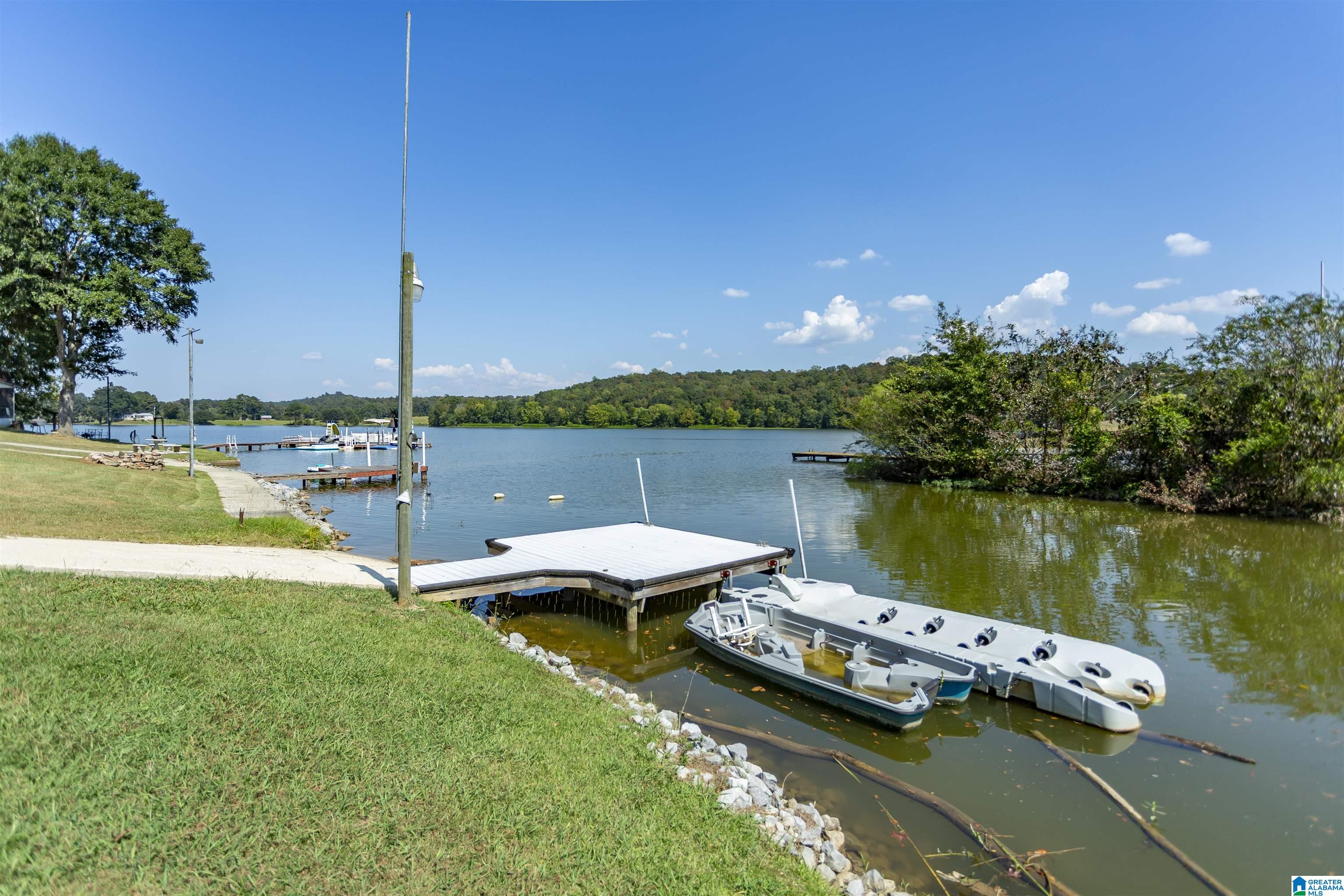 586 Hollys Lane Riverside, AL 35135 - Photo 7 of 30