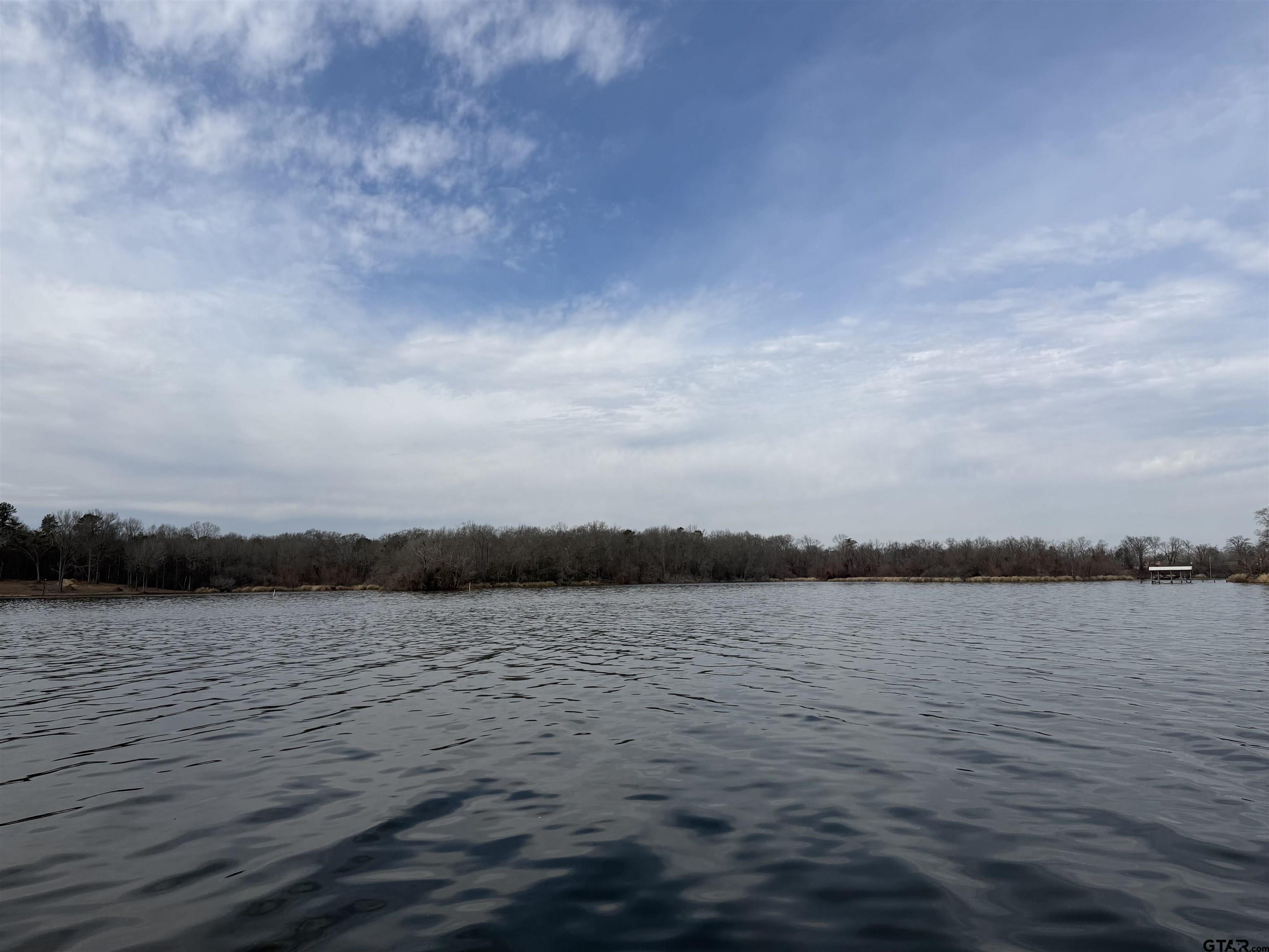 220 County Road 184 Carthage, TX 75633 - Photo 25 of 25