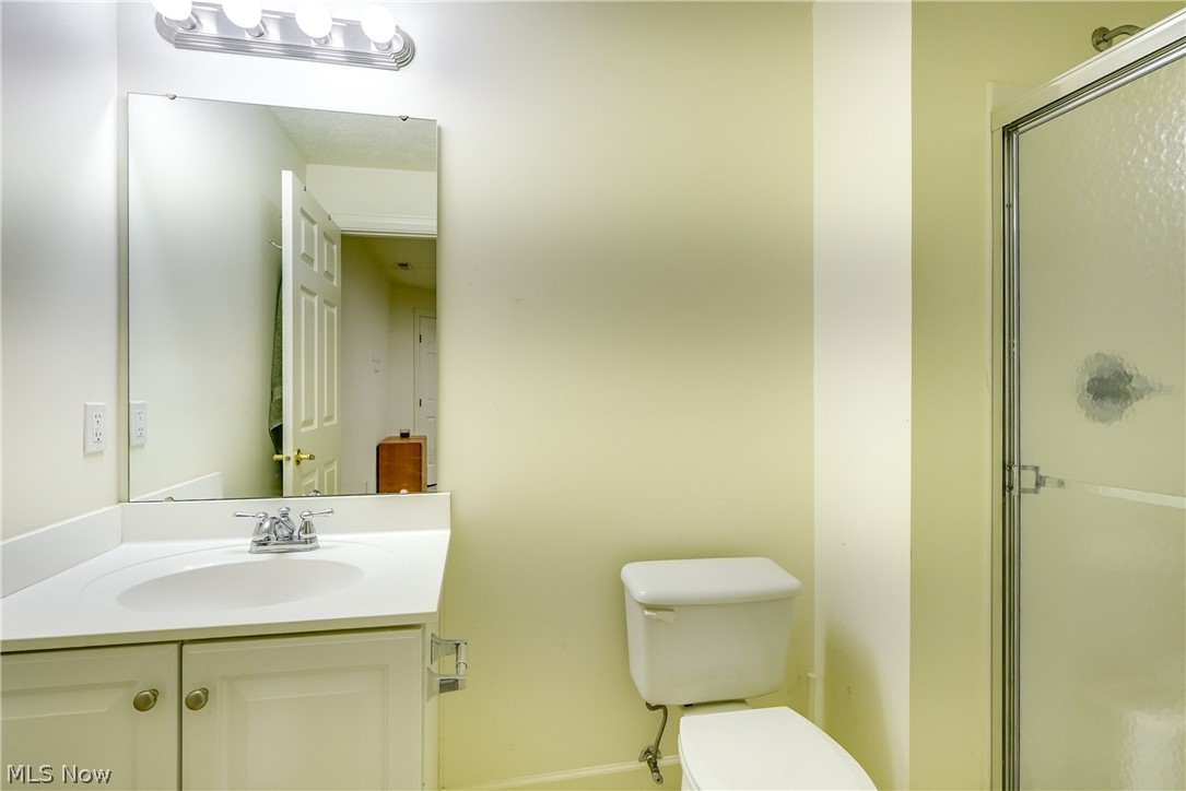4561 Ridgestone Way Medina, OH 44256 - Photo 31 of 50 Full Bathroom in the basement featuring a shower with door, vanity, and toilet