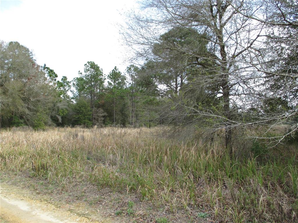 Southwest 24th Place Ocala, FL 34481 - Photo 1 of 3 a view of a lake from a yard