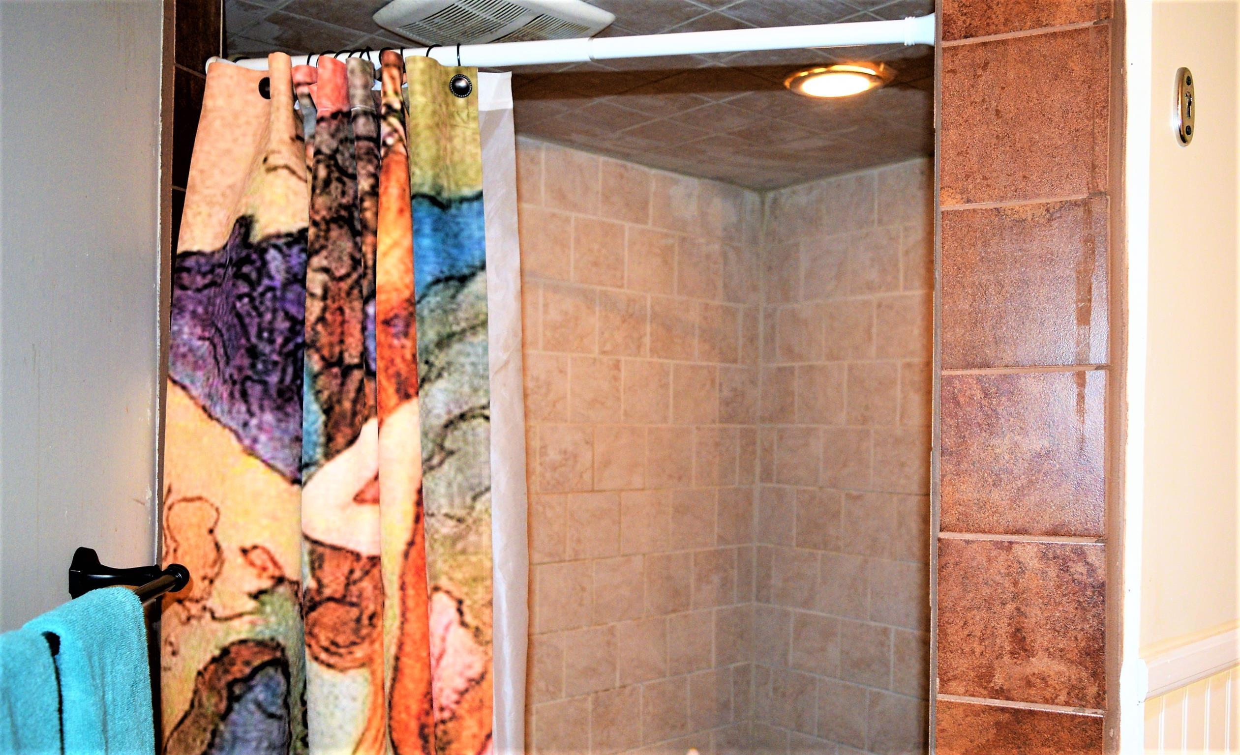 425 Spring Street Guthrie, KY 42234 - Photo 24 of 30 a bathroom with a shower curtain and a potted plant