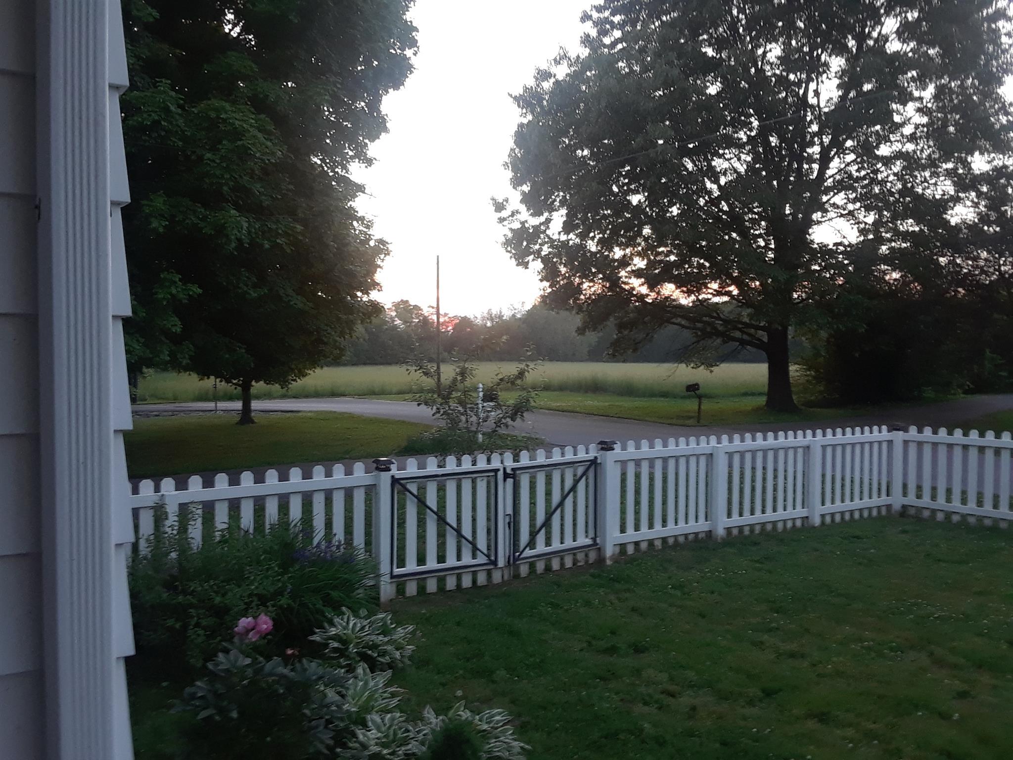 425 Spring Street Guthrie, KY 42234 - Photo 30 of 30 a view of a bench in backyard