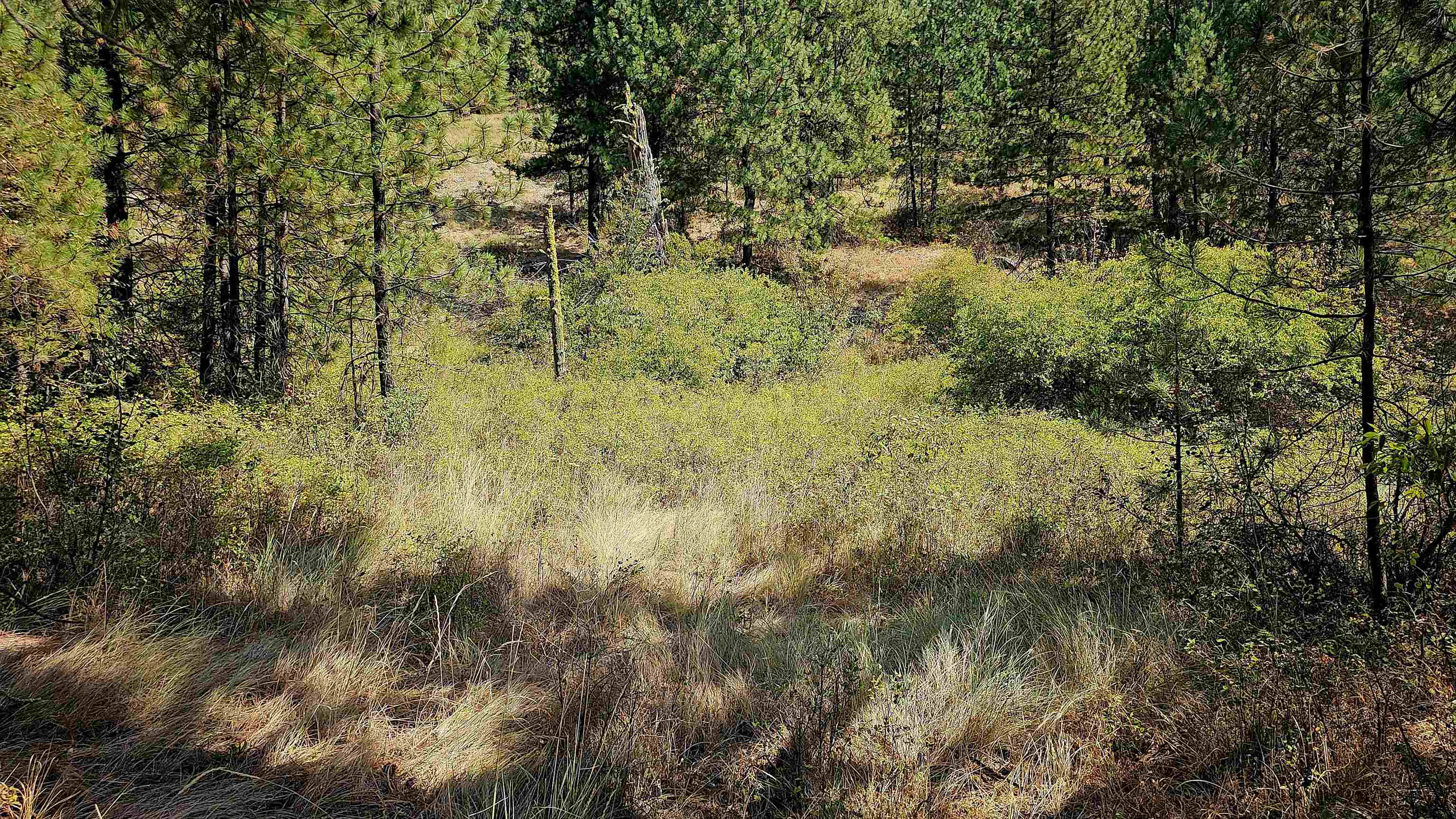 35-xx Cedonia Road Hunters, WA 99137 - Photo 22 of 40 Gallery Image 22