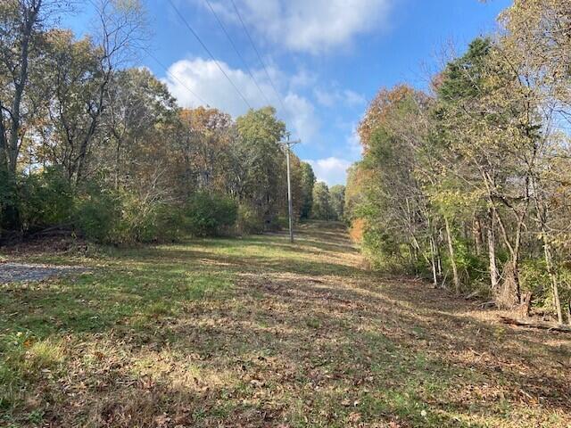 1121 Galbraith Road Brooksville, KY 41004 - Photo 3 of 7