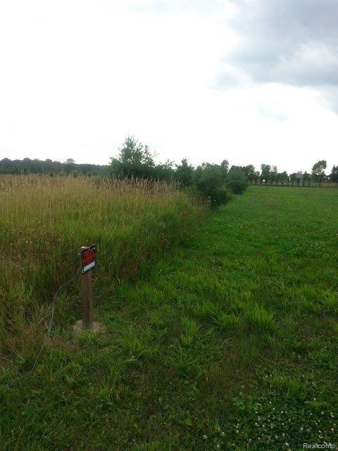 5 B Daley Road Lapeer, MI 48446 - Photo 10 of 25 1.jpg