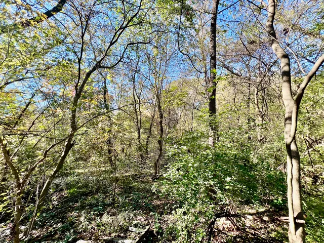 $39,900 | 0 Pearl Avenue, Chickamauga, GA 30707